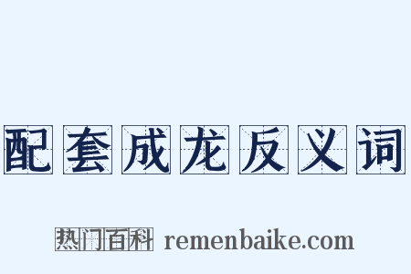 配套成龙反义词是什么意思的图片